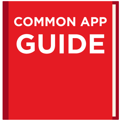 Gemeinschafts Software Essay Guide